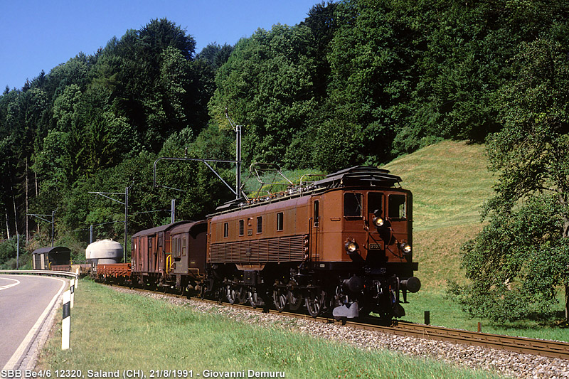 Svizzera e dintorni - Saland.