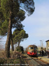 ALn 772 sulla Cecina-Volterra (2013) - Riparbella.
