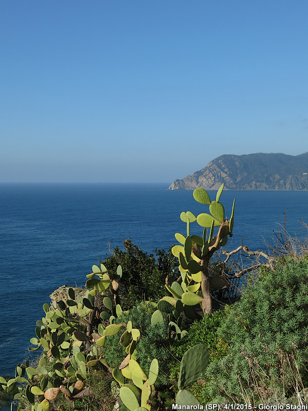 Levante verso sera - Manarola.