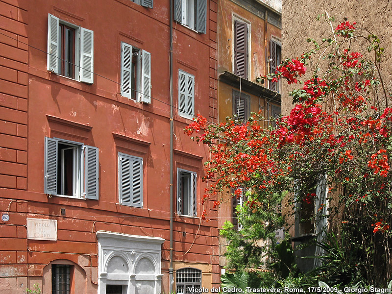 Roma - la città - Quartiere di Trastevere.