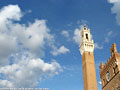 Siena - Torre del Mangia.