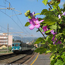 Laigueglia e altro - Cervo.