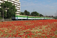 Ferrovie Nord Milano - Bruzzano.