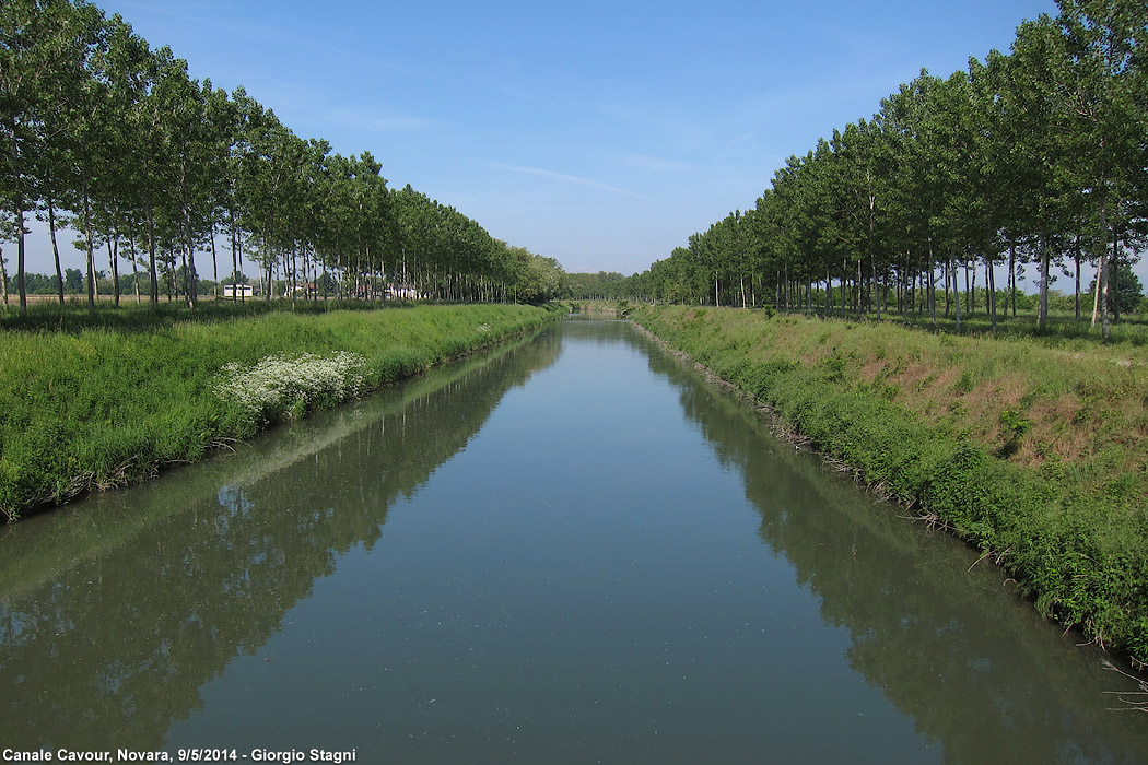 Paesaggi - Canale Cavour.