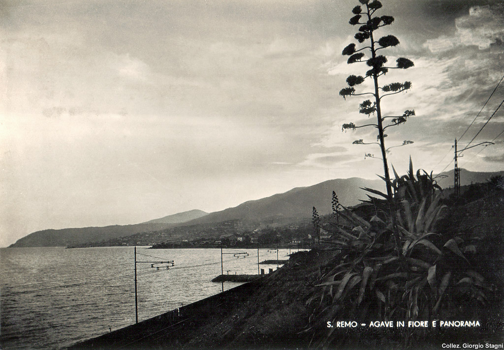 Un paesaggio da cartolina - San Remo.