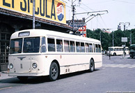 Filobus 2401 e 2411 - Venezia Mestre.