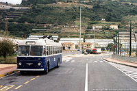 Filobus 2401 e 2411 - Taggia.