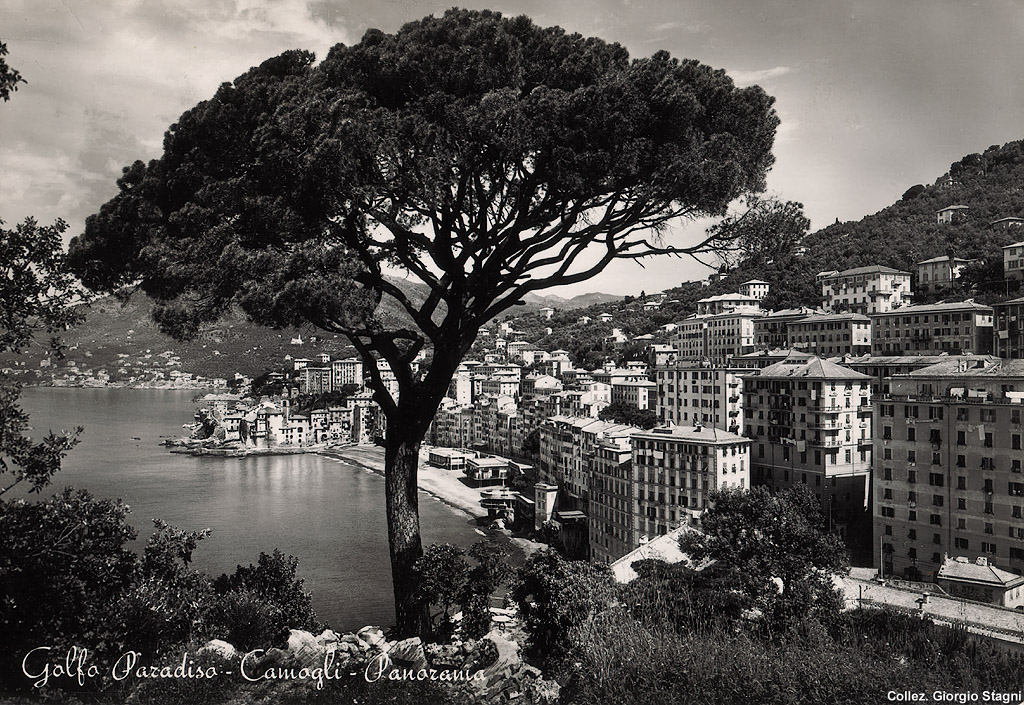 Riviera - Camogli.