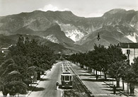 Citt e tram - Le reti minori - Carrara.