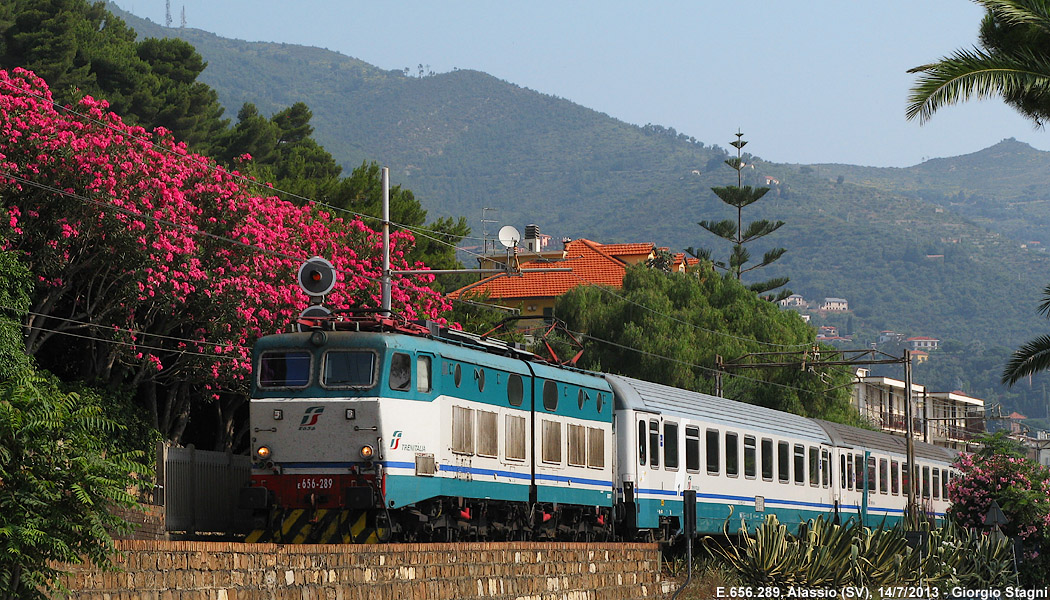 Oleandri in fiore - Alassio.