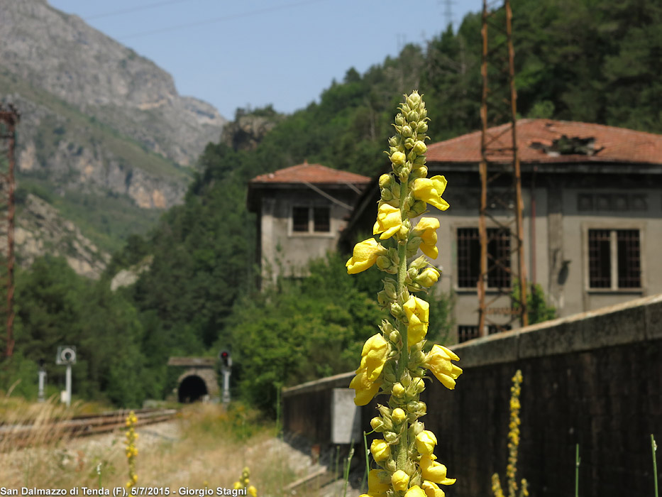 Val Roya 2015 - San Dalmazzo.