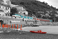 Bianconero - colore - Cervo.