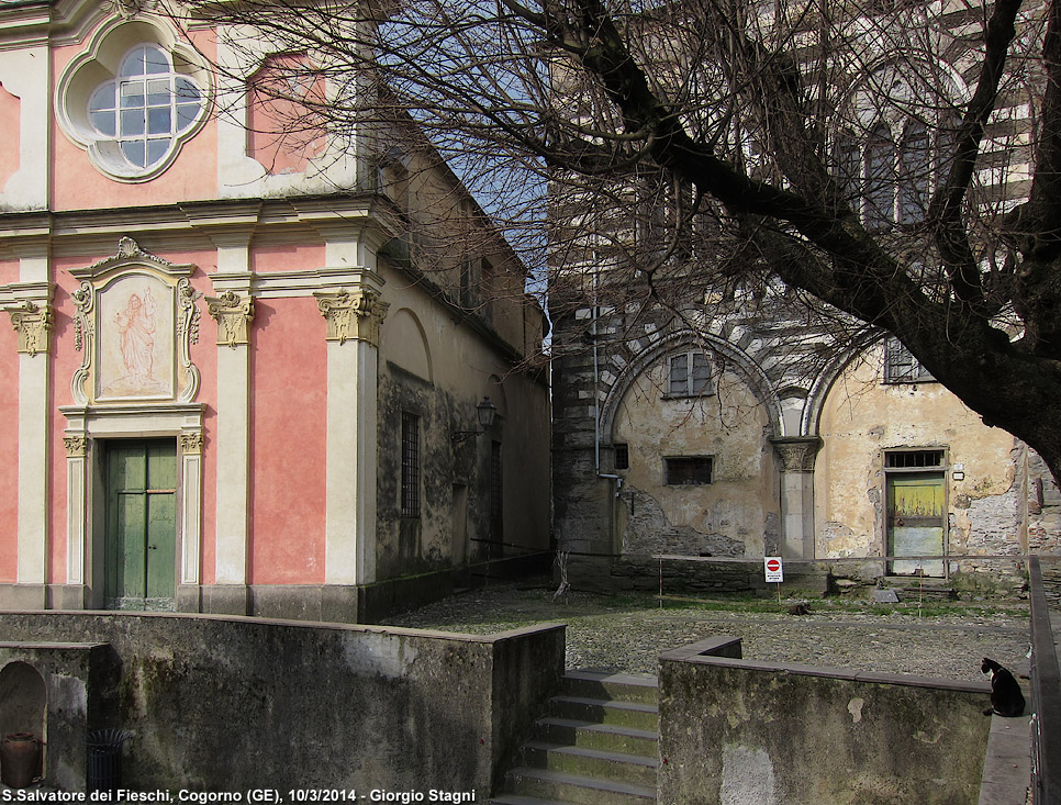 Basilica dei Fieschi - S.Salvatore dei Fieschi.