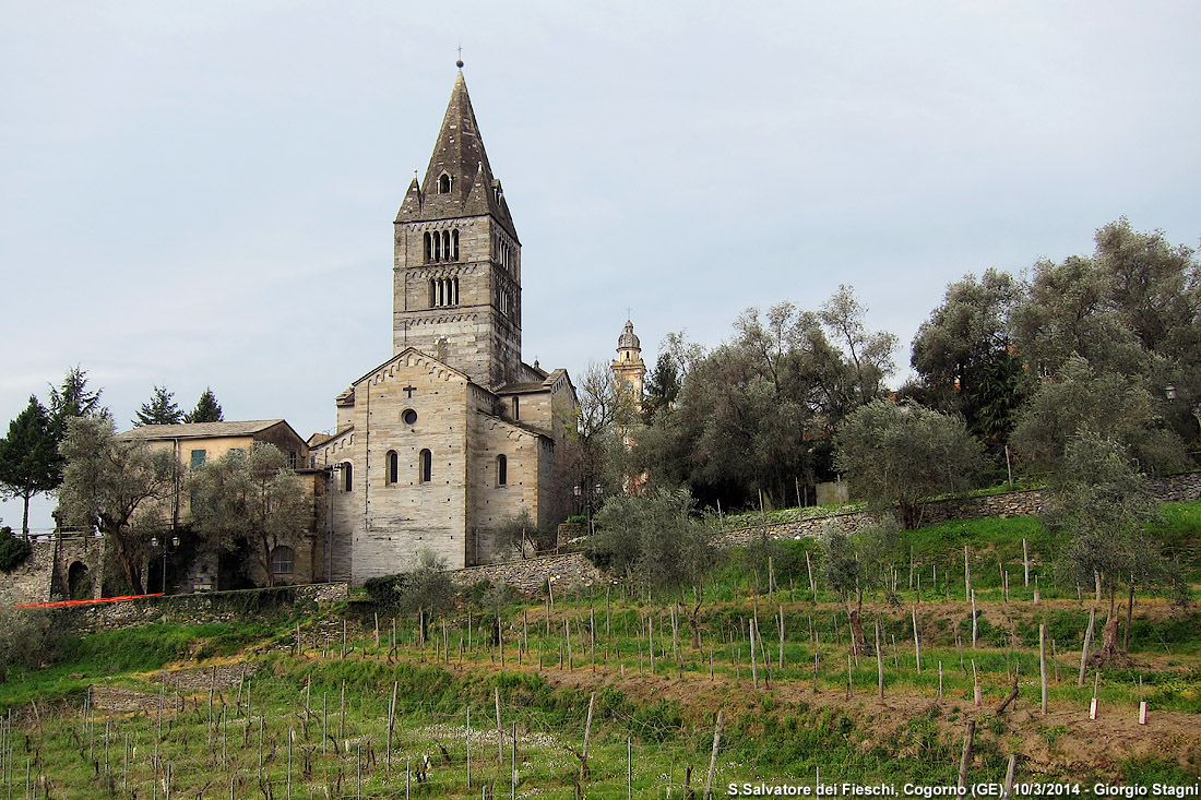 Basilica dei Fieschi - S.Salvatore dei Fieschi.