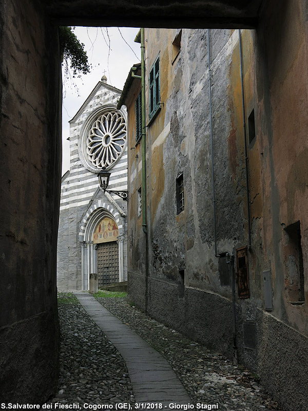 Basilica dei Fieschi - S.Salvatore dei Fieschi.