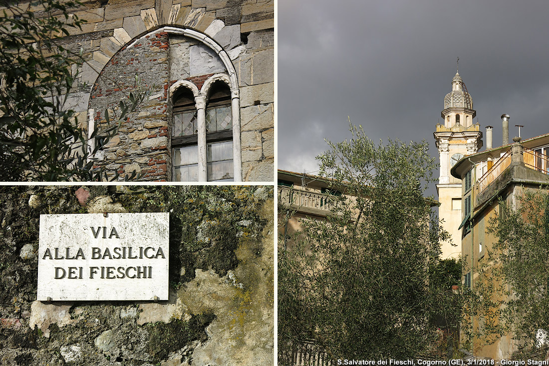 Basilica dei Fieschi - S.Salvatore dei Fieschi.