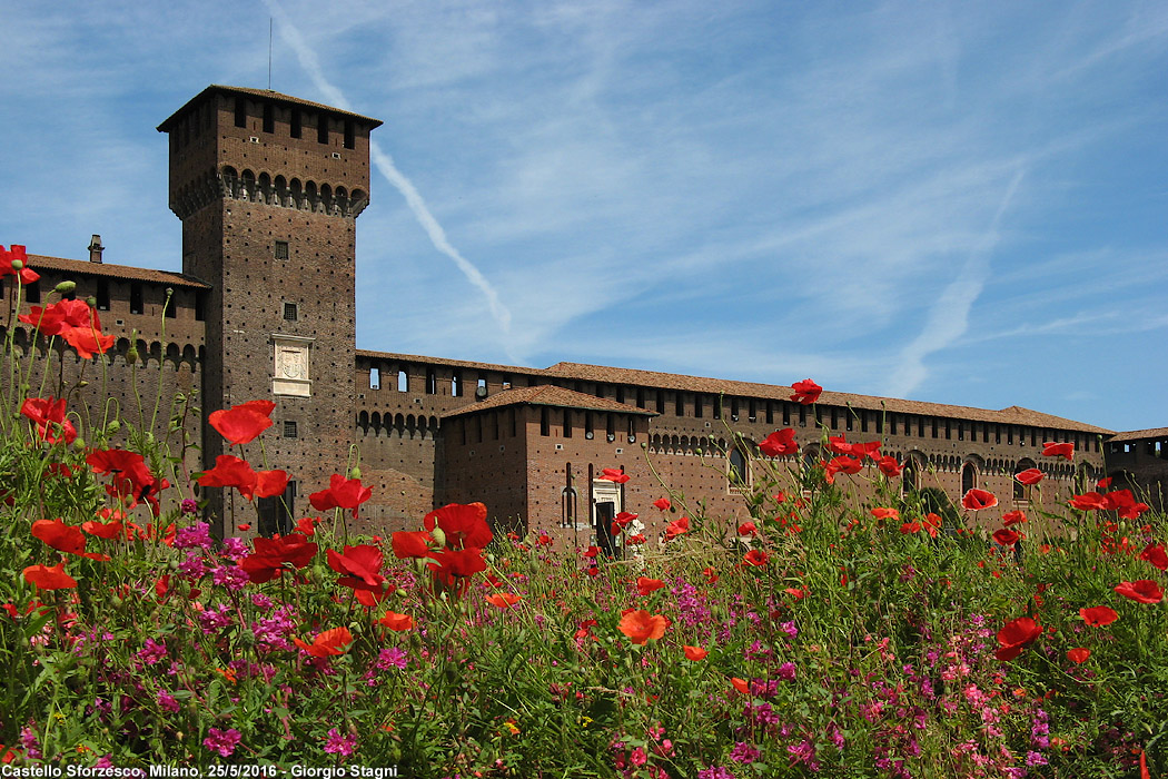 Il Castello - Castello Sforzesco.