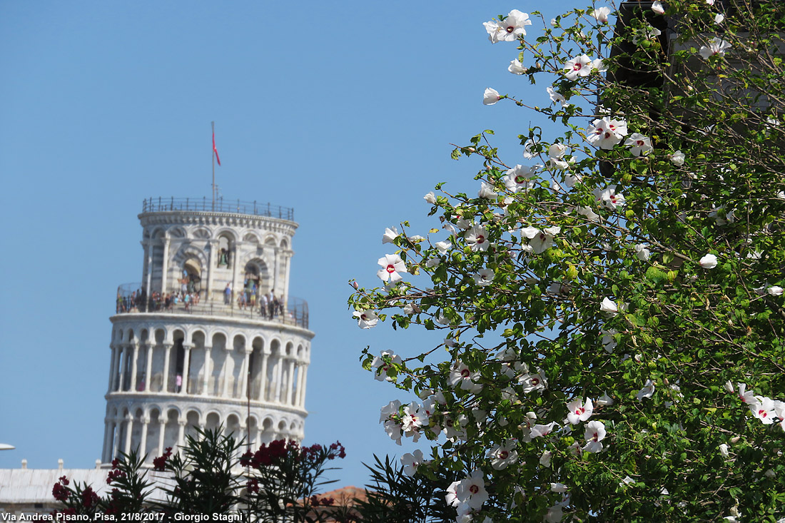 Pisa - Torre.