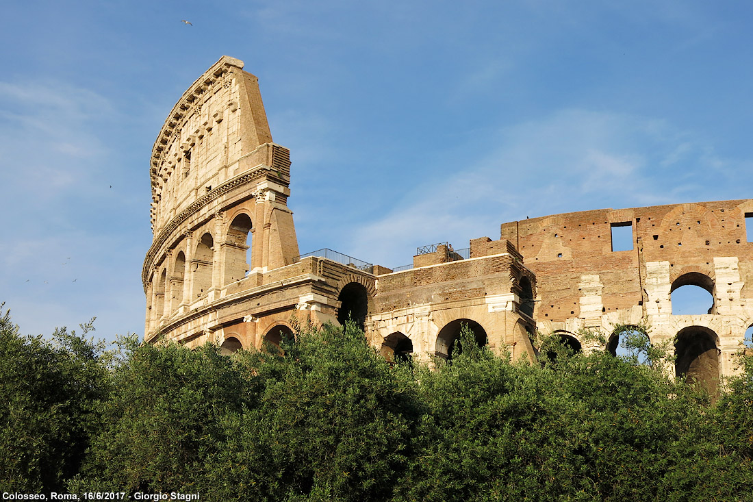 Roma nell'estate - Colosseo.