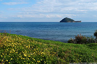 Autunno 2018 - Isola Gallinara.