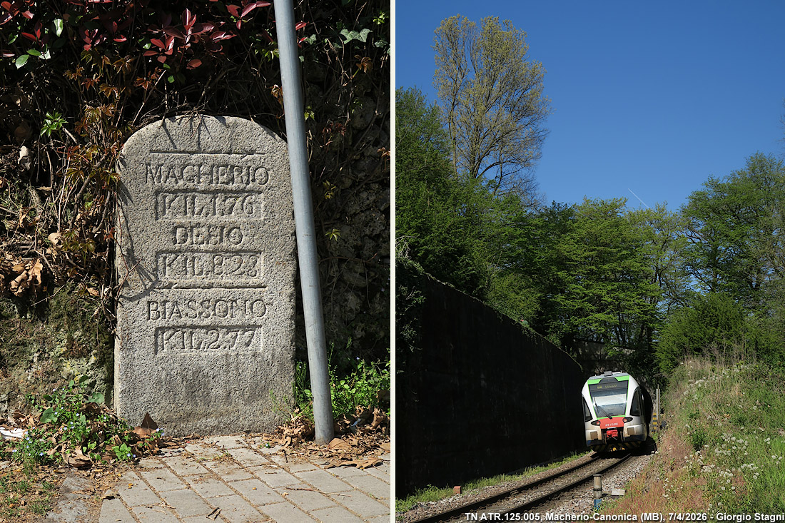Primavera fiorita - Macherio-Canonica.