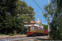 E.428.202 in Riviera - Cervo-S.Bartolomeo.