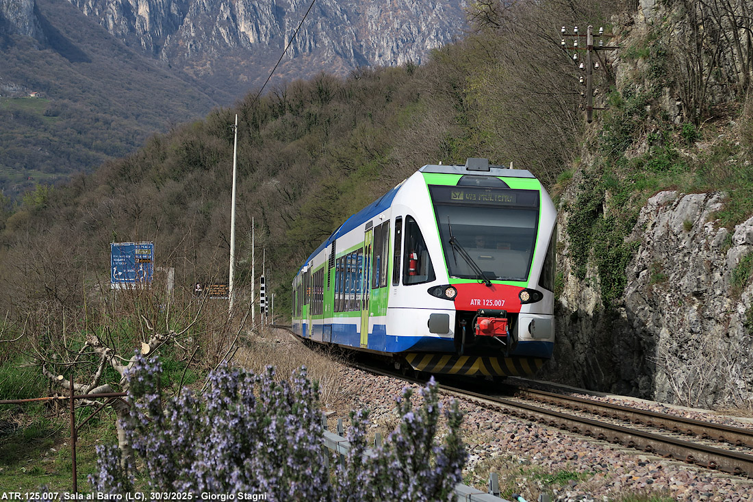 Primavera fiorita - Sala al Barro.