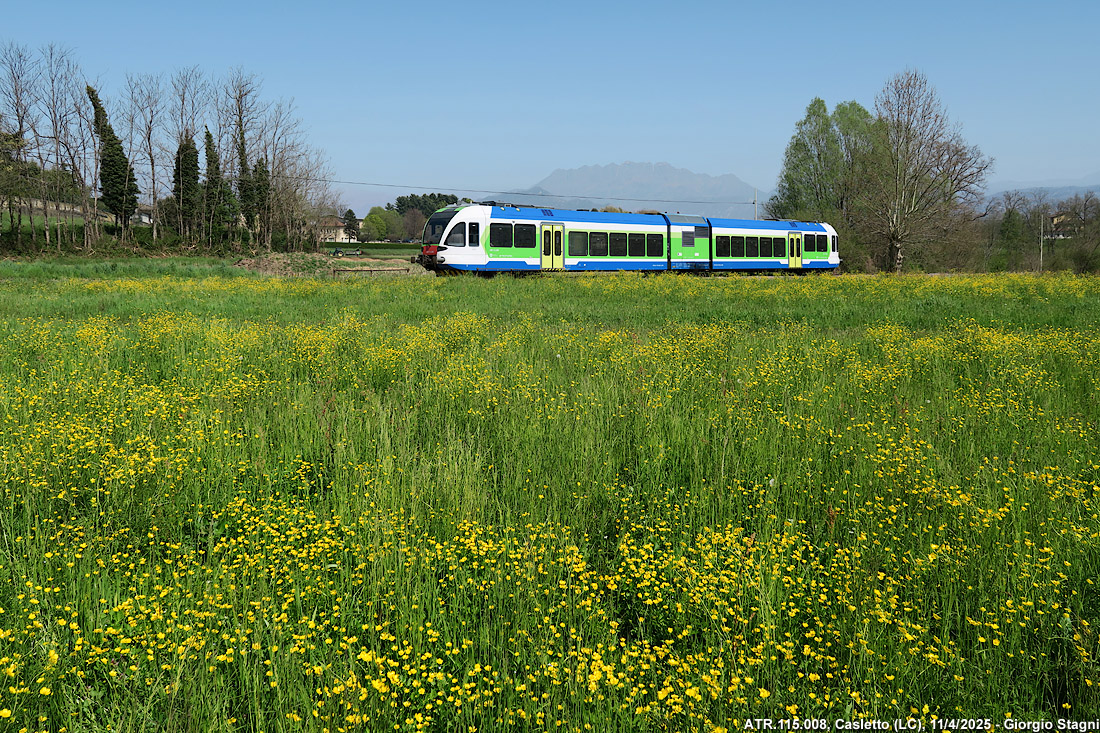 Primavera fiorita - Casletto.