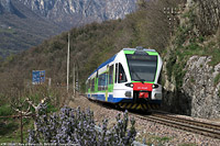 Primavera fiorita - Sala al Barro.