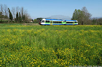 Primavera fiorita - Casletto.