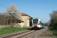 Primavera fiorita - Alzano del Parco.