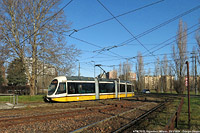 Tram a Milano 2024 - Vigentino.