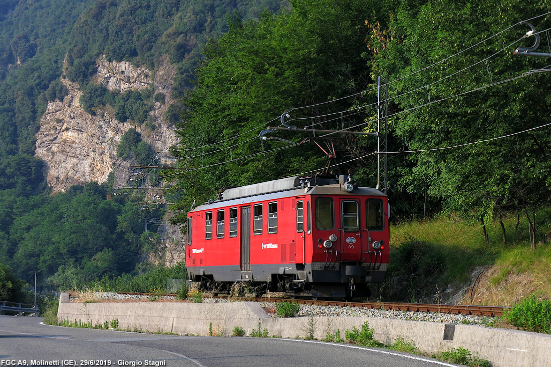 It's a Red World - Molinetti.