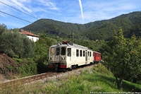 Autunno e inverno - Vallombrosa.