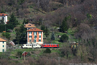 Autunno e inverno - Niusci.