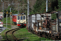 Autunno e inverno - Vicomorasso.