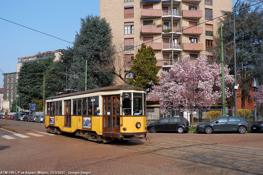 La magnolia di Piazza Aspari - P.za Aspari