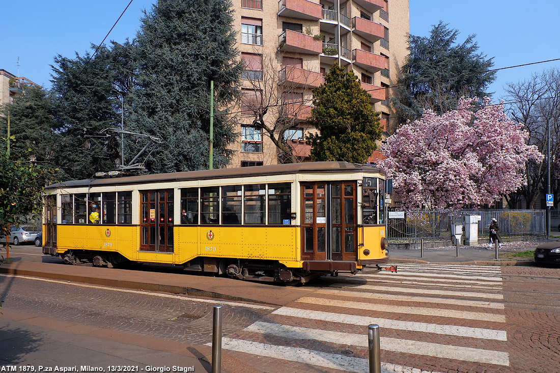 La magnolia di Piazza Aspari - P.za Aspari