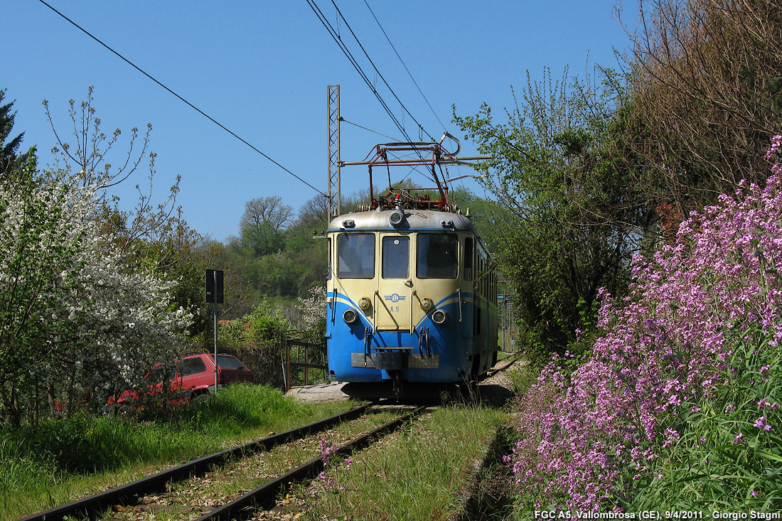 Flashback a primavera - Vallombrosa.