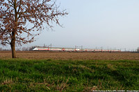 Terre di pianura - Certosa di Pavia.