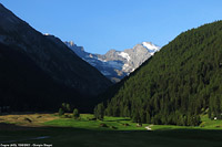 Alpi valdostane - Cogne.