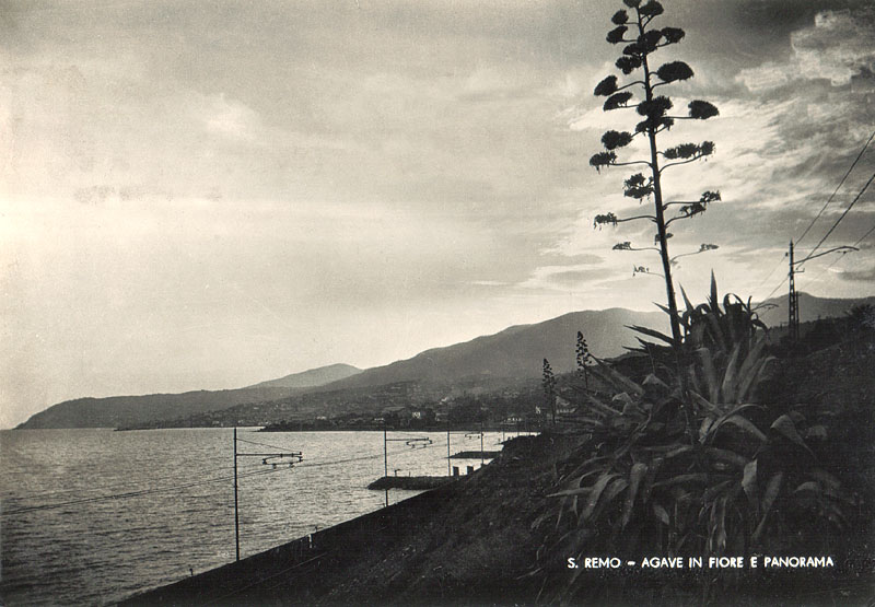 Due fili contro il mare - San Remo