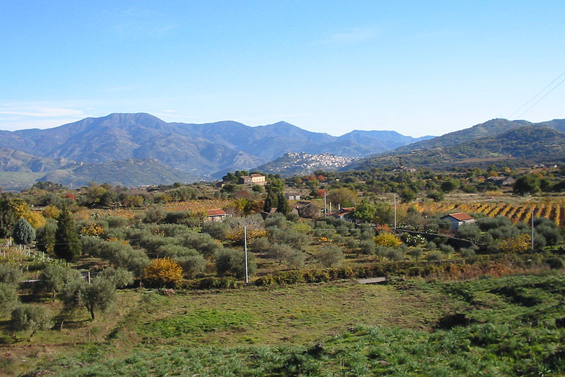 Benvenuti in Sicilia - Vigneti e coltivi sulle pendici dell'Etna