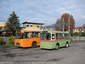 Bus storici a Monza - Monza.