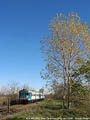 Alberi autunnali - Cava Carbonara.