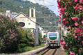 Mediterraneo - Laigueglia.