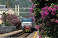 Mediterraneo - Laigueglia.