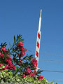 Mediterraneo - Albenga.