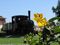 Locomotive monumento - N. 1 Fucino.