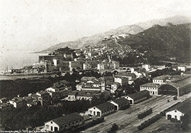 Alfred Noack, 